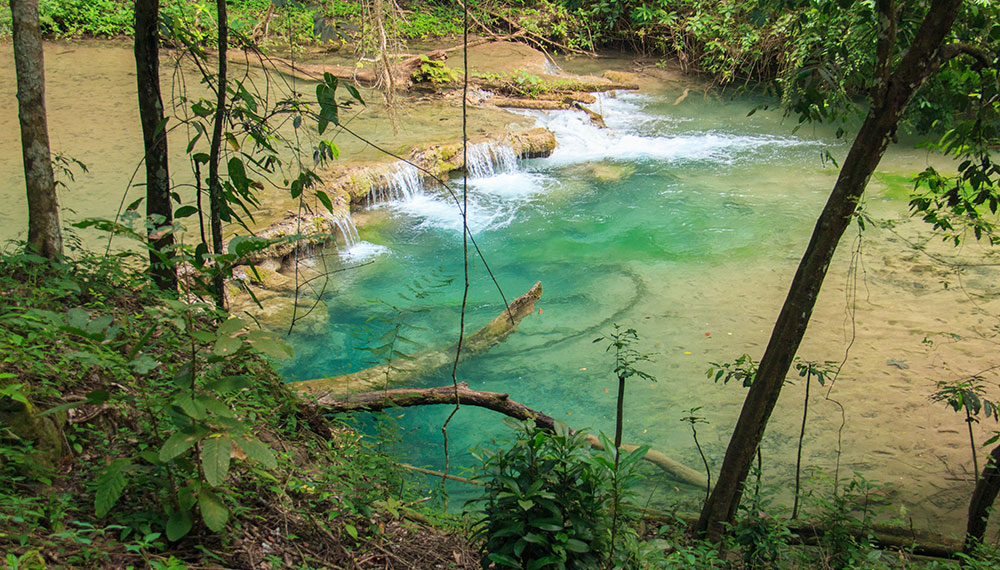 Maxi Falls