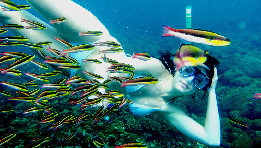 Speedy Snorkel